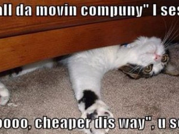 Moving out in California for dummies: 12 things to keep in&nbsp;mind.